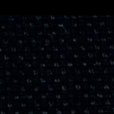 COLOR NEGRO VEGANO 